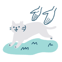 TNR元の場所に戻す